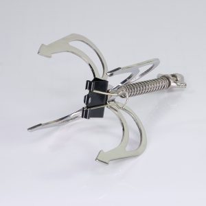 Pince à sein griffe de dragon en acier inoxydable